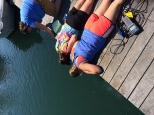 2015 Interns searching for invasive species with Staff Scientist