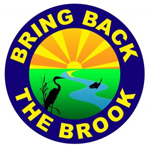 bring-back-the-brook-logo-web
