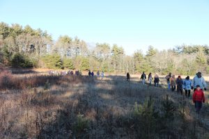 2017-new-years-day-walk-by-jon-bond-meadow2