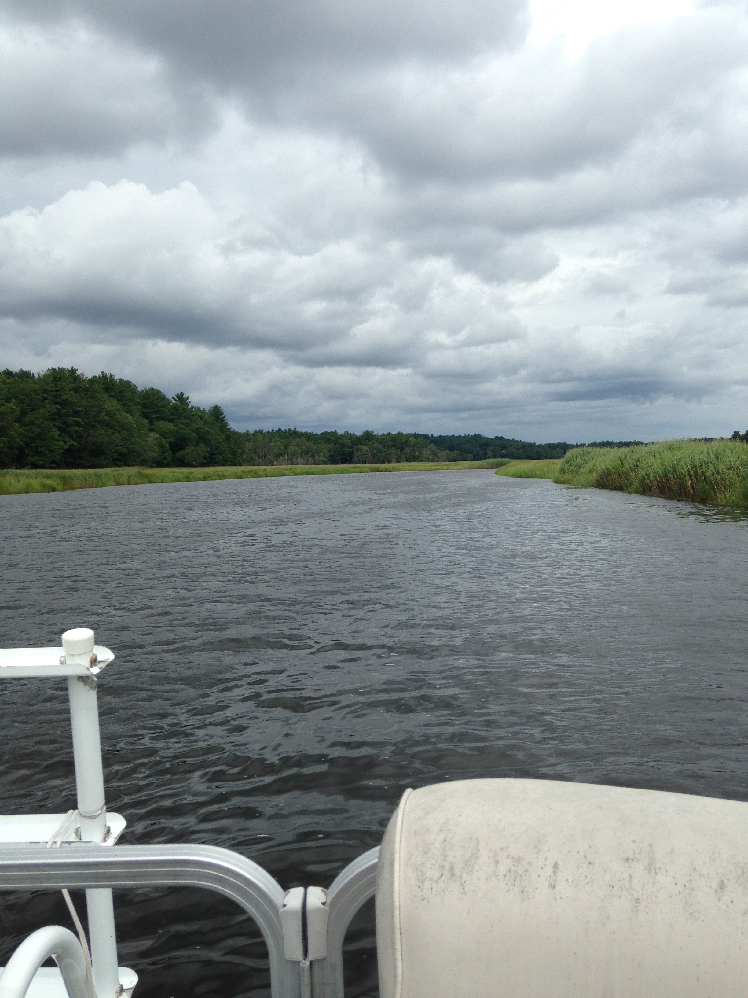 NATURE: A Pontoon Boat Cruise on the North River « North & South Rivers