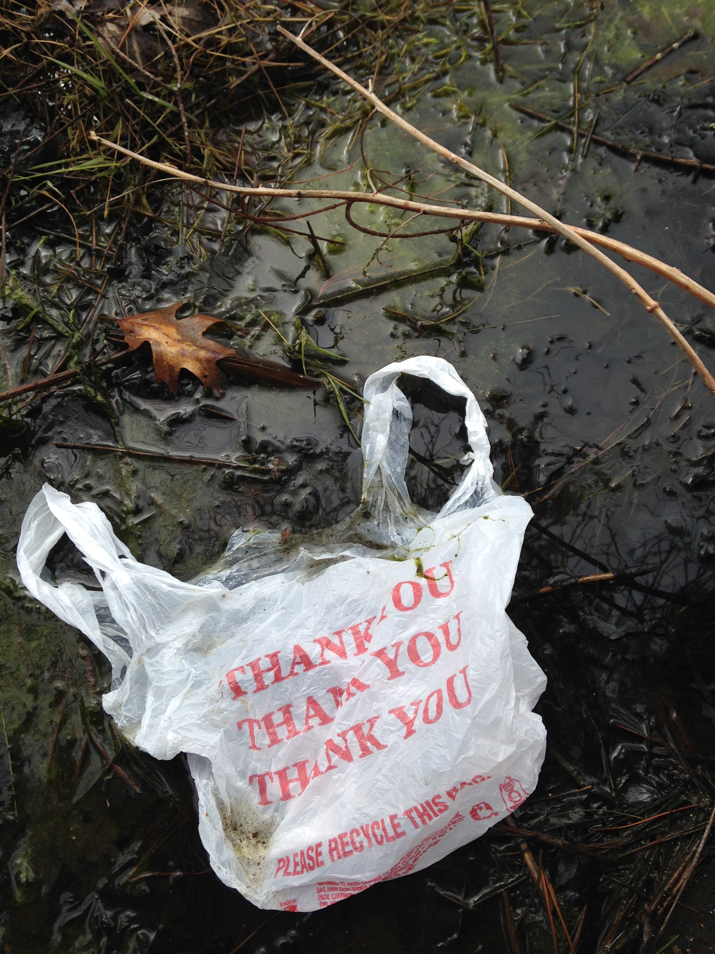 Should We Ban Plastic Bags? « North & South Rivers