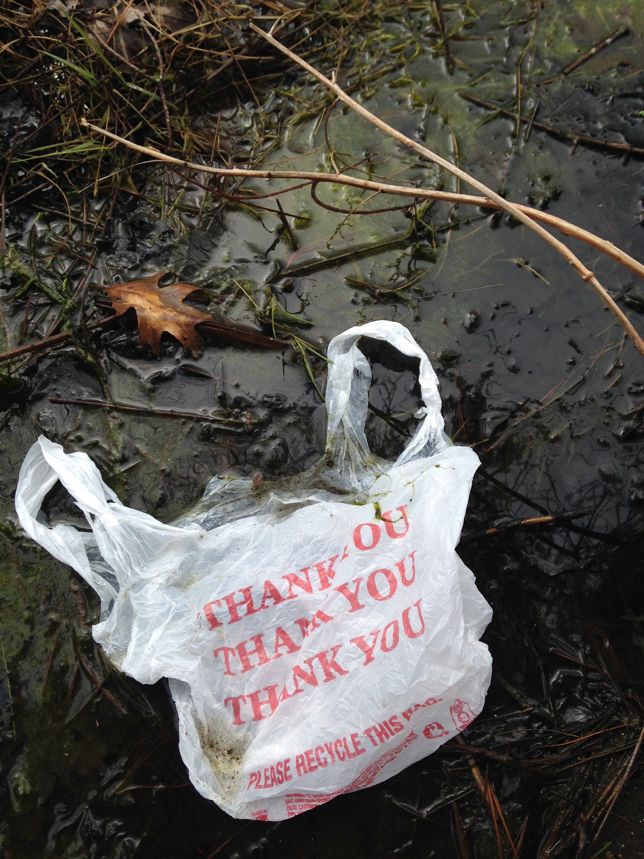 Should We Ban Plastic Bags? « North &amp; South Rivers Watershed Association