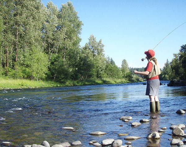Fly Fishing Essentials Cl Fly Fishing Essentials Cl