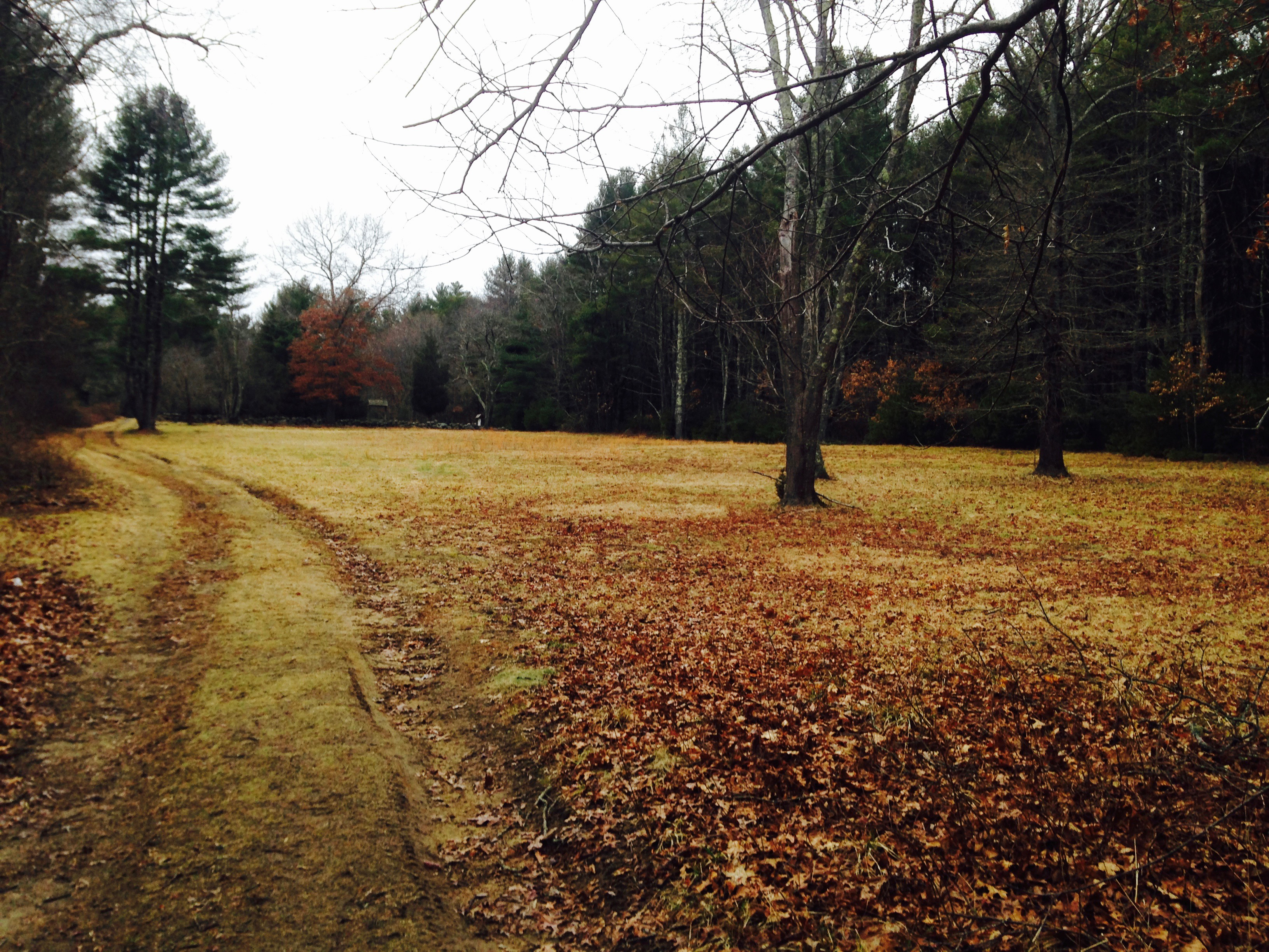 A Visit to Stetson Meadows in Norwell « North & South Rivers Watershed