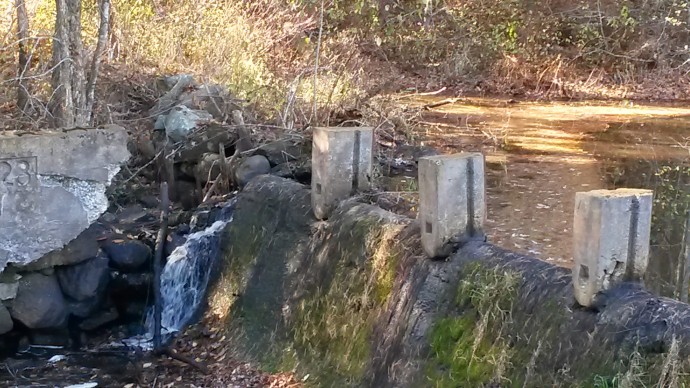 Tack Factory dam in 2013