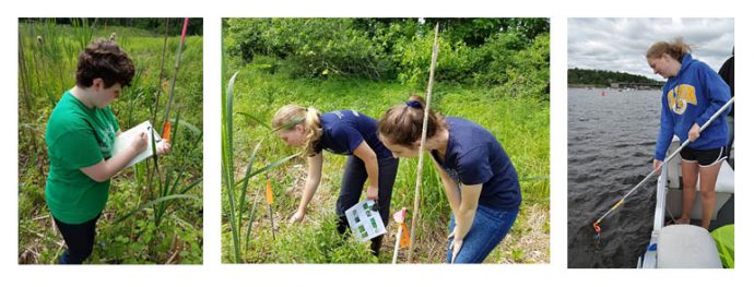 (Left to Right) Rowan Lowell surveying purple loosestrife; Callie Neaves taking water samples; Callie and Kaitlin Morel checking for invasive species.