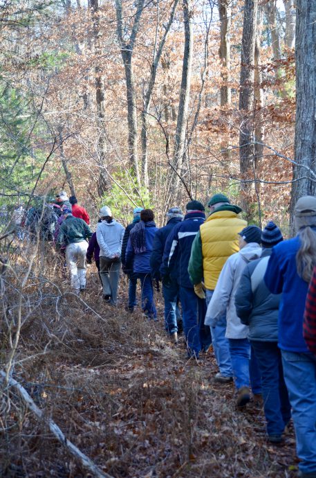 2017-new-years-day-walk-by-irene-coleman-3