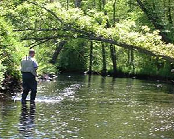 planet fishing shad North Carolina planet fishing shad North Carolina
