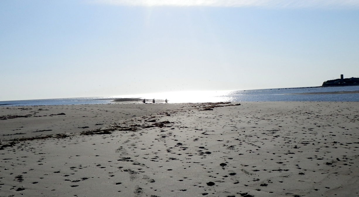 Photograph of beach sand with the North River mouth and Fourth Cliff in the background.