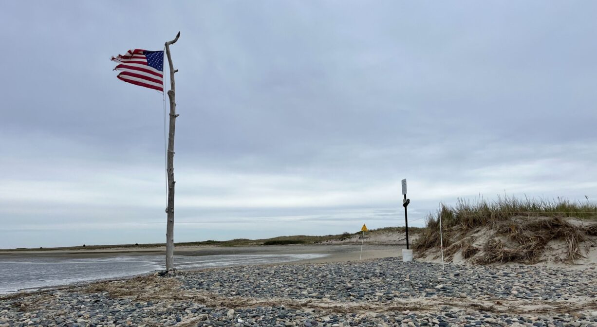 An American flag posted on a tall piece of driftwood with stones in the foreground and a river in the background.