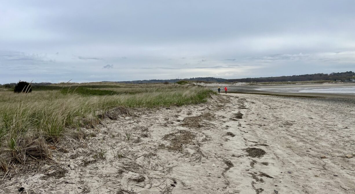 A sandy beachfront with dune grass on one side and a river on the other.