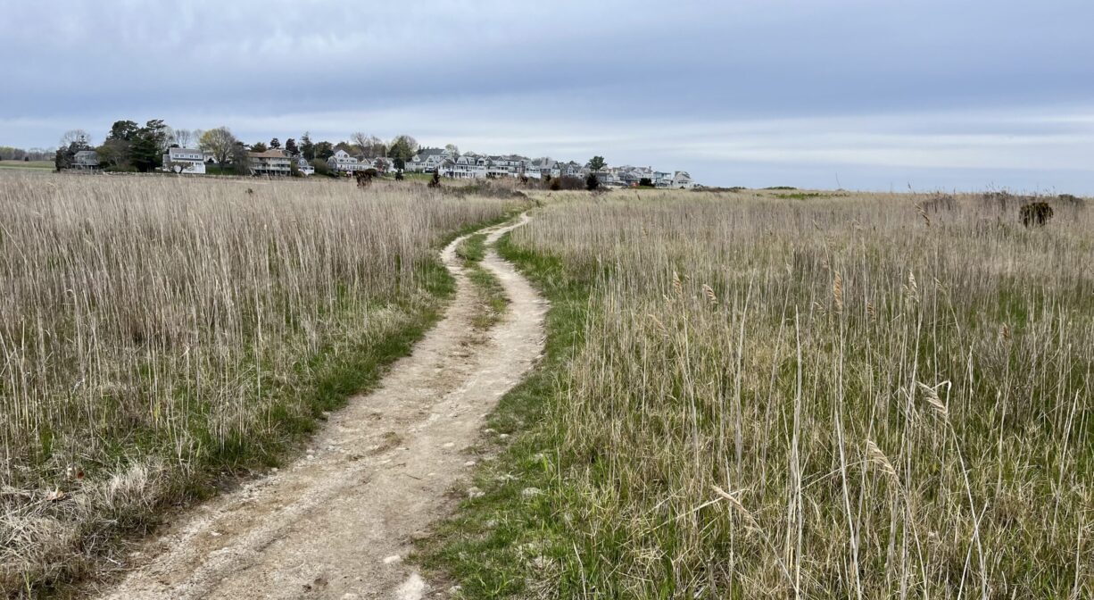 A sandy path extending across a broad area of dune grass.