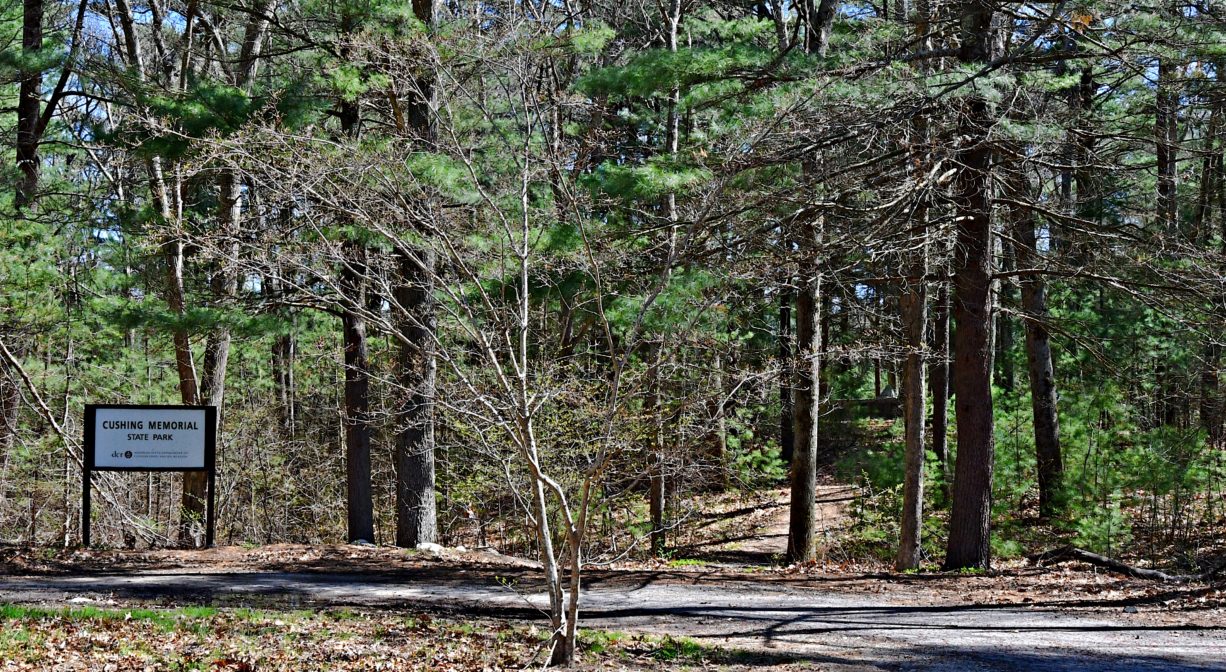 A roadway through the woods with a property sign.