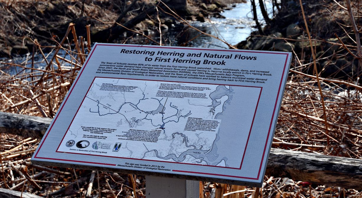 A photograph of an interpretive sign.