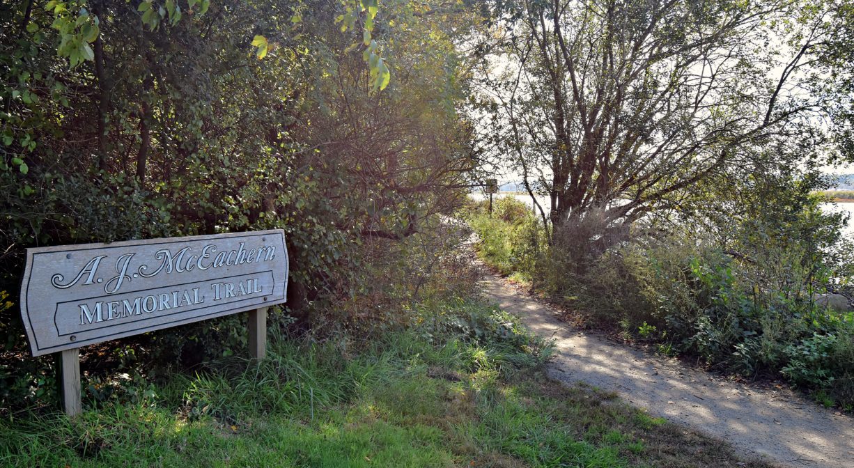 A trail sign with a trail that leads into a woodland, with a river in the background.