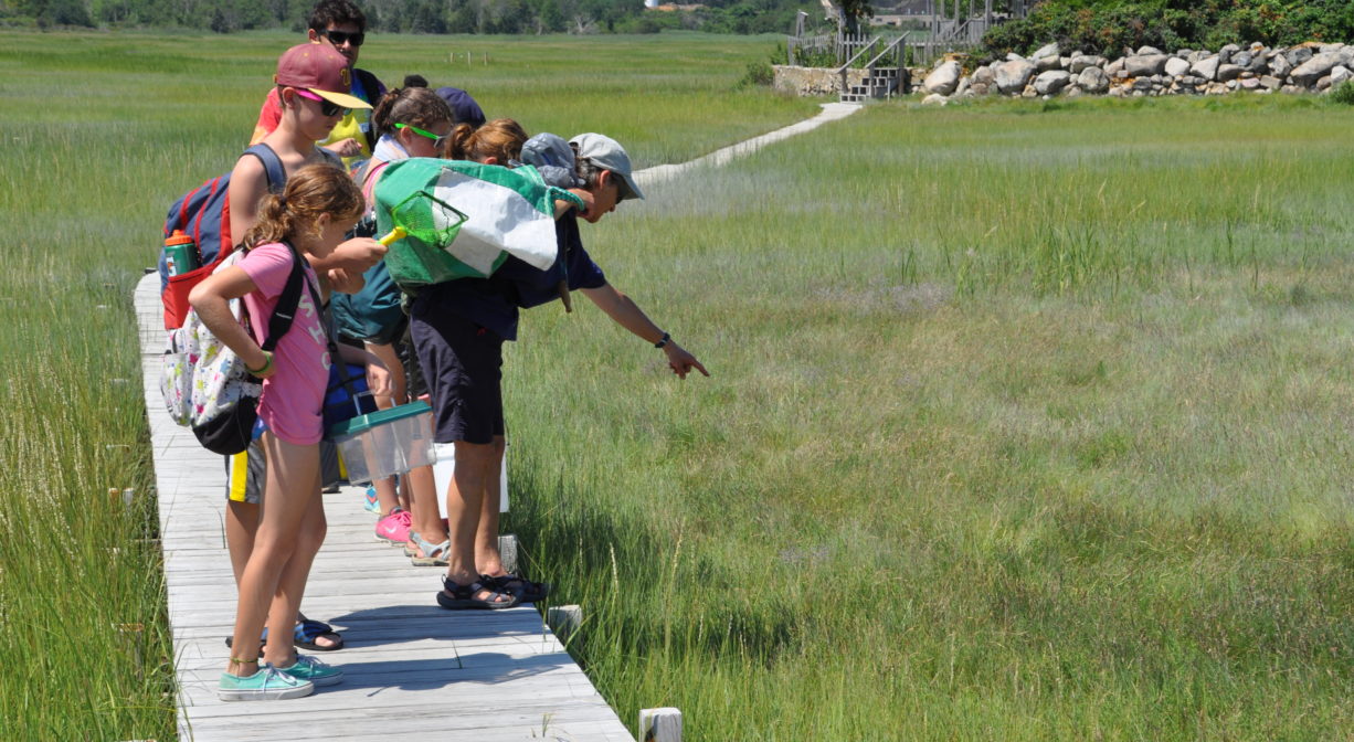 A photograph of a group pf children and a nature guide on a boardwalk through a salt marsh.