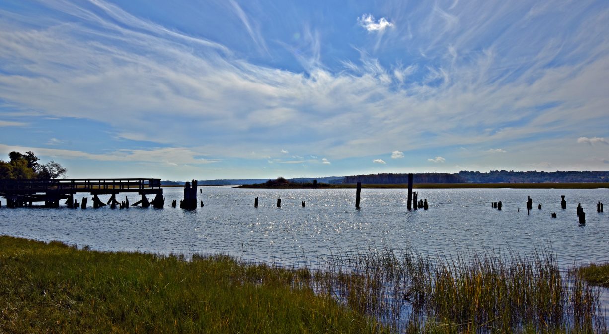 A photograph of a river with vestiges of wooden wharves.