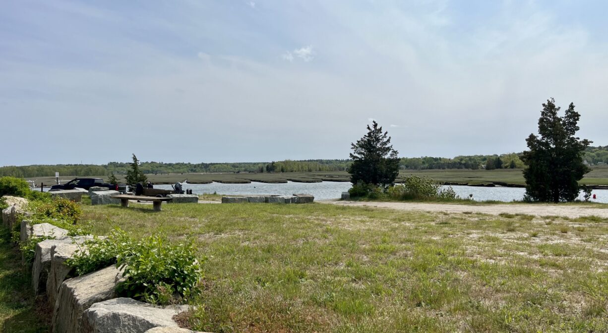 A grassy area with some cedar trees at the edge of a river.