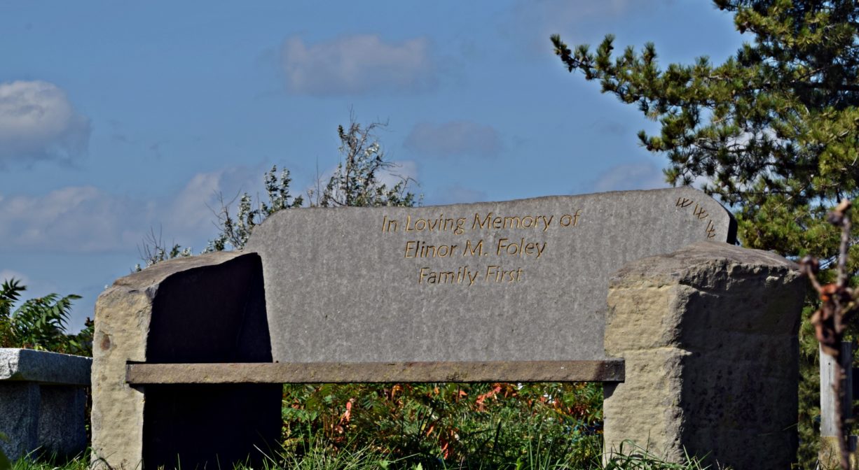 A bench commemorating Elinor Foley, set on grass on a sunny day.