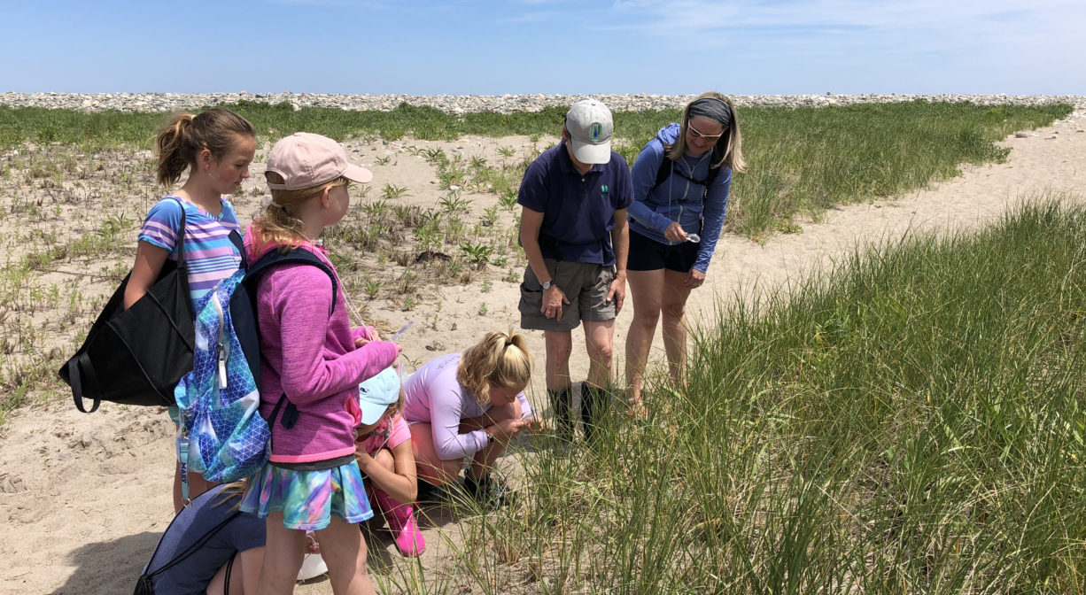 A photograph of a group of children and a nature guide exploring a dune and salt marsh.