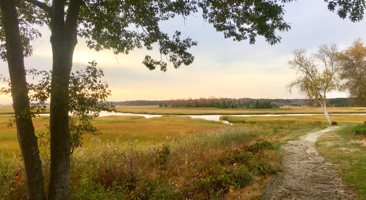 A photograph of a trail through a green landscape with salt marsh, river and trees.