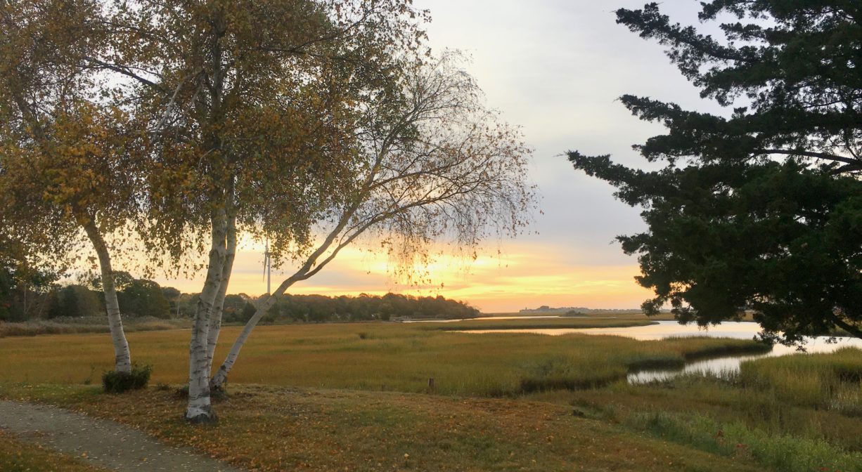 A photograph of a trail alongside a salt marsh with the sun rising over a river in the background.