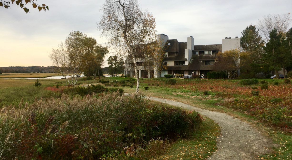 A photograph alongside a salt marsh with condominiums in the distance and green grass.