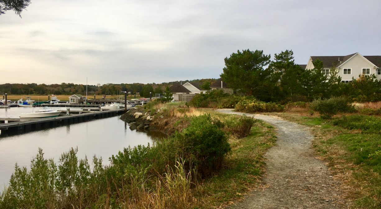 A photograph of a trail along the edge of a marsh.