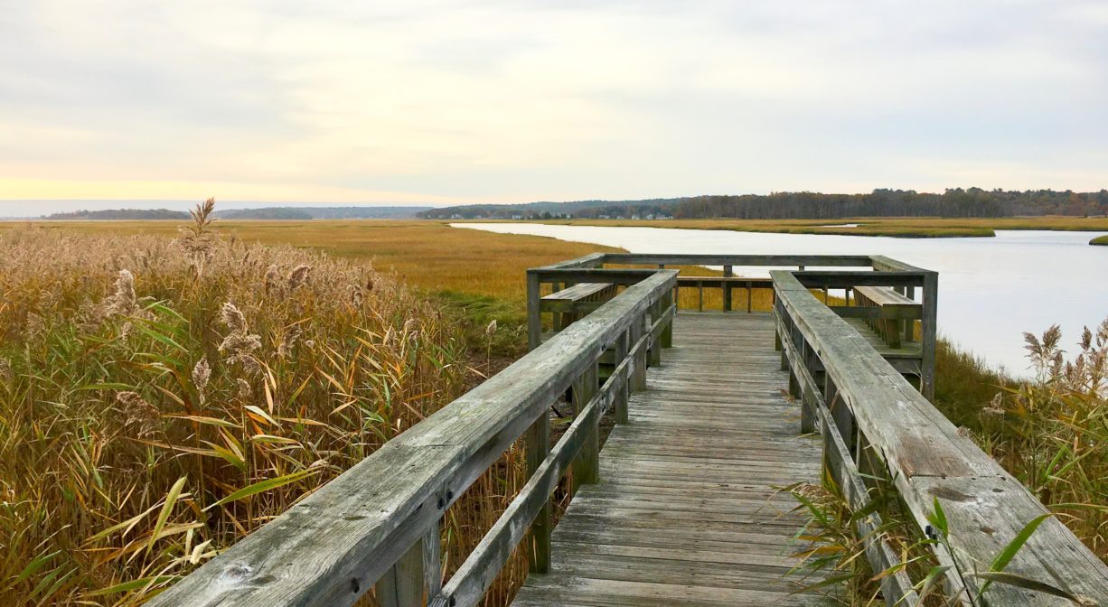 A photograph of a wooden walkway leading to a sitting area with a river and salt marsh in the background.
