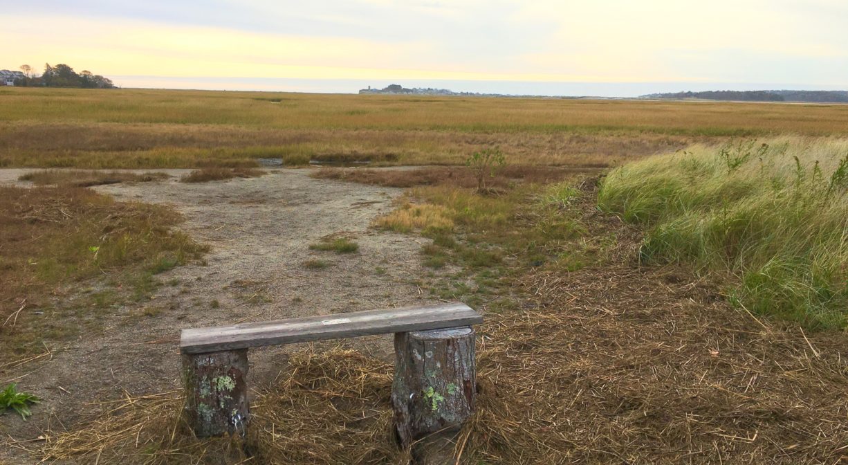 A rough bench overlooking a salt marsh.