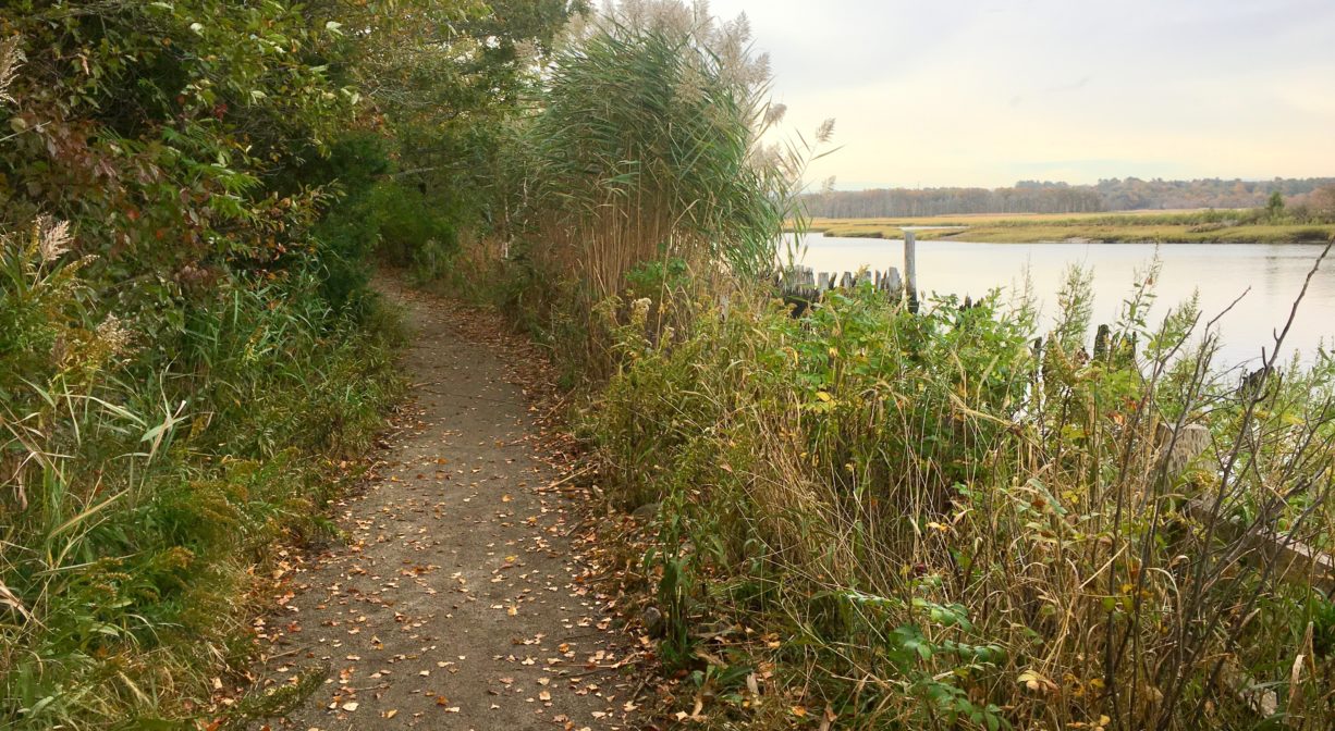 A trail extending along the edge of a river with salt marsh in the background and trees to one side.