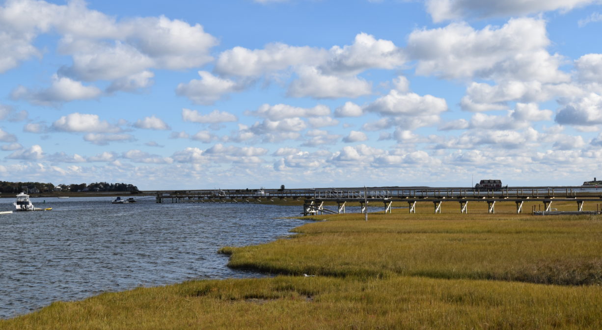 Golden-green salt marsh with a long dock across it, beside a river on a sunny day.