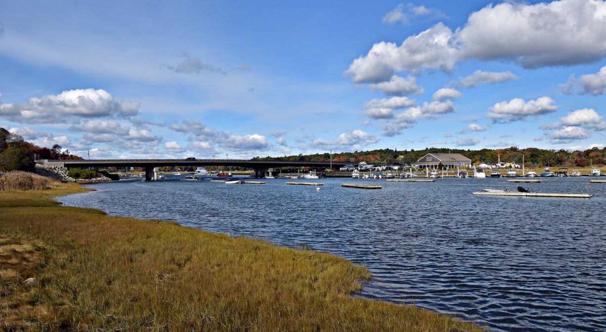 Golden-green salt marsh bordering a river on a sunny day.