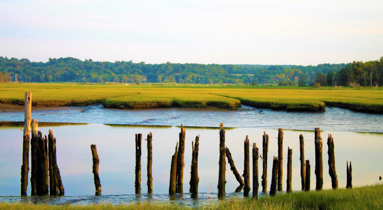 A photograph of some vestiges of a wooden pier with a river and salt marsh in the background.