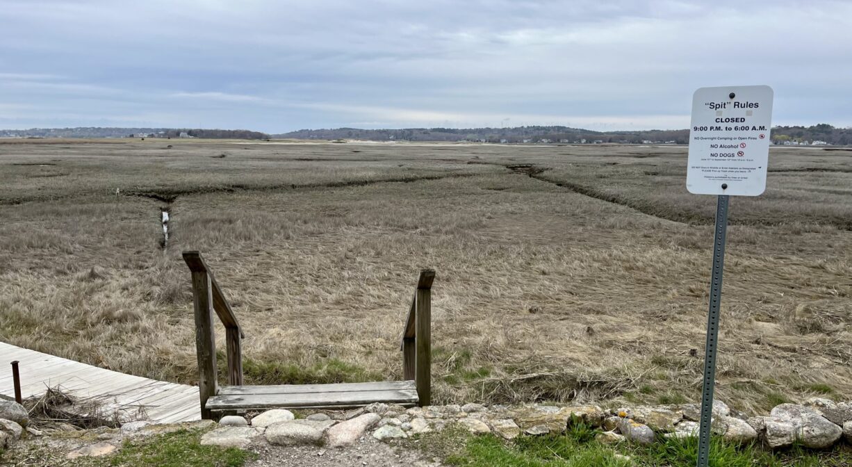 A photograph of a staircase leading to a salt marsh.