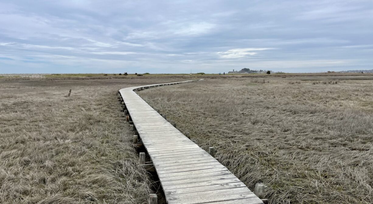 A photograph of a boardwalk extending across a salt marsh.