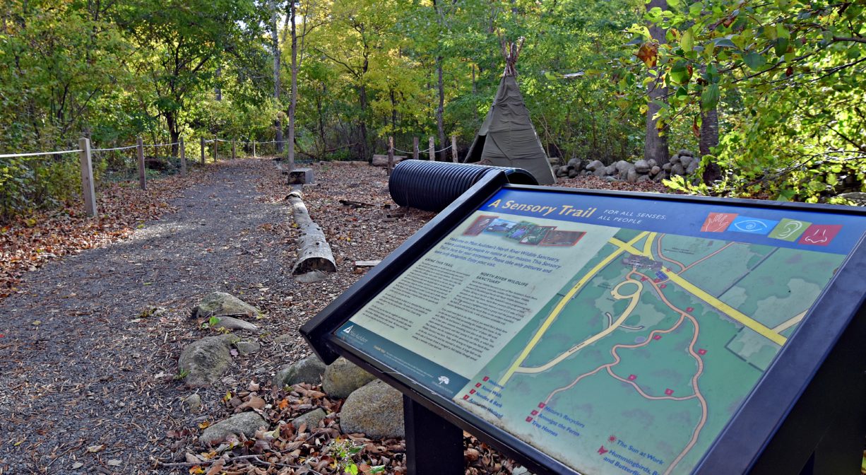 A photograph of interpretive signage alongside a trail.