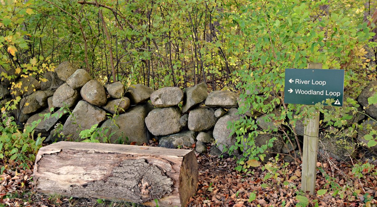 A photograph of a bench made from a tree trunk, with a trail sign, and a stone wall and trees in the background.