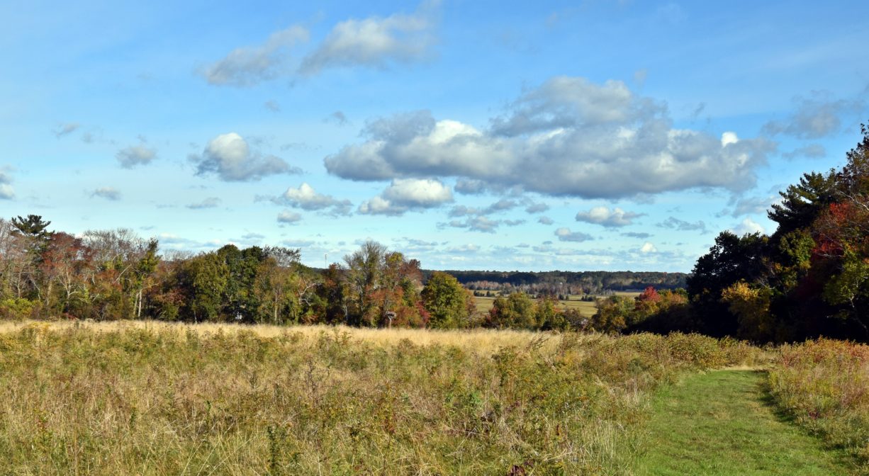 A photograph of a trail leading across a grassy field with blue sky.