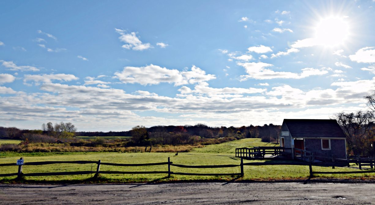 A photograph of a grassy green landscape with a small building.