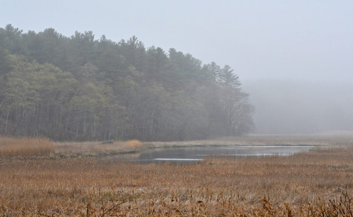 Bald Hills/Stetson Shipyard North and South Rivers Watershed Association