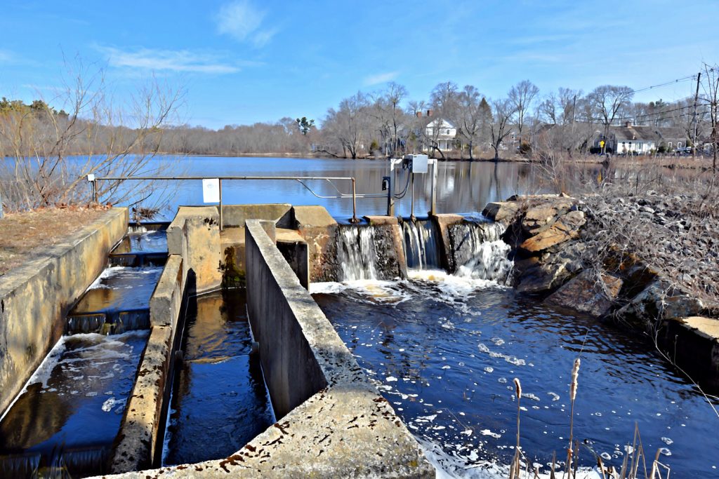 A photograph of a fish ladder at the edge of a pond, on a sunny day.