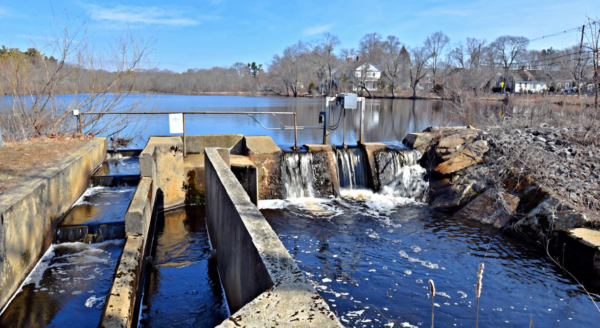 A photograph of a fish ladder at the edge of a pond, on a sunny day.