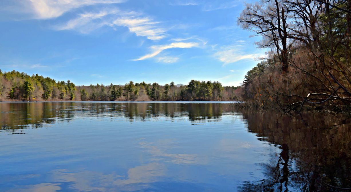 A photograph of a pond reflecting a cloudy blue sky, with trees along the edges.