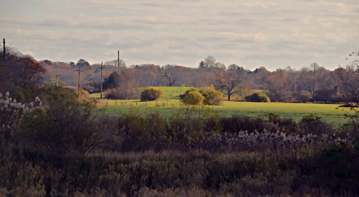 A photograph of a grassy green landscape.