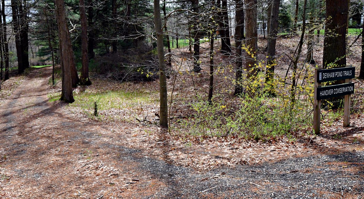 A photograph of an entrance road through a forest, with a property sign in the foreground.