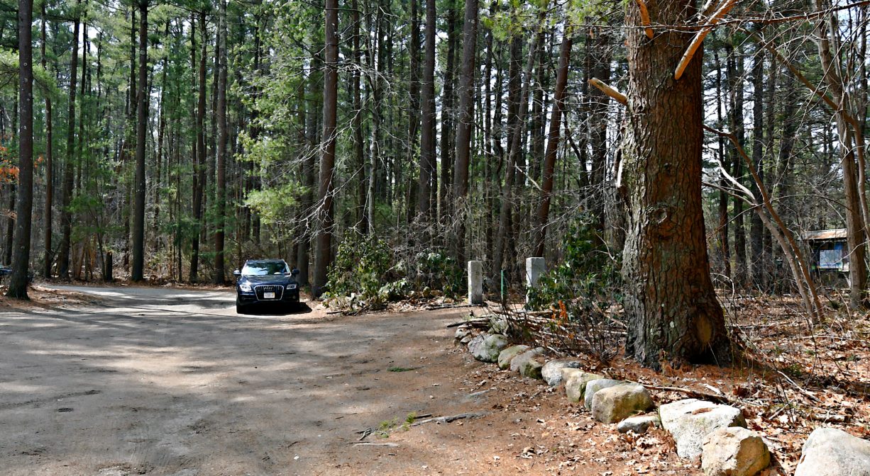 A photograph of a woodland parking area.