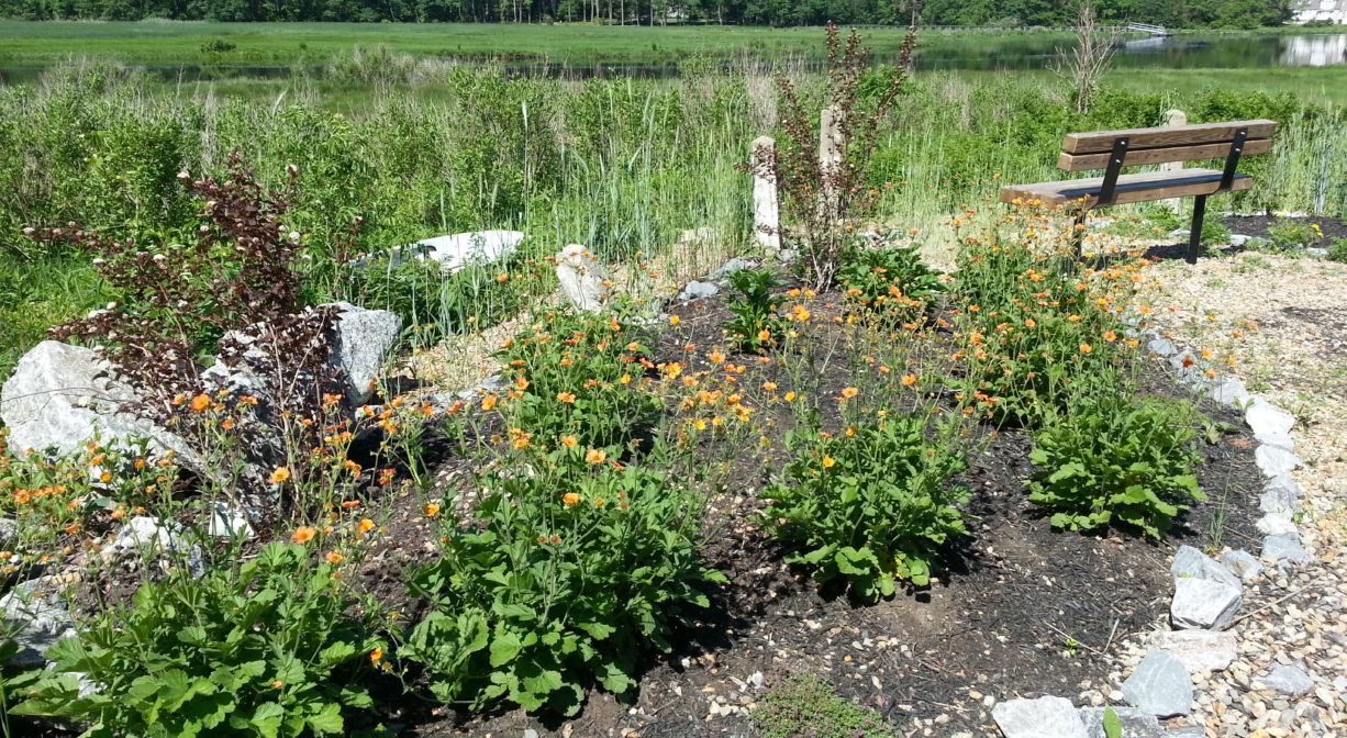 A photograph of a small garden and bench beside a salt marsh.