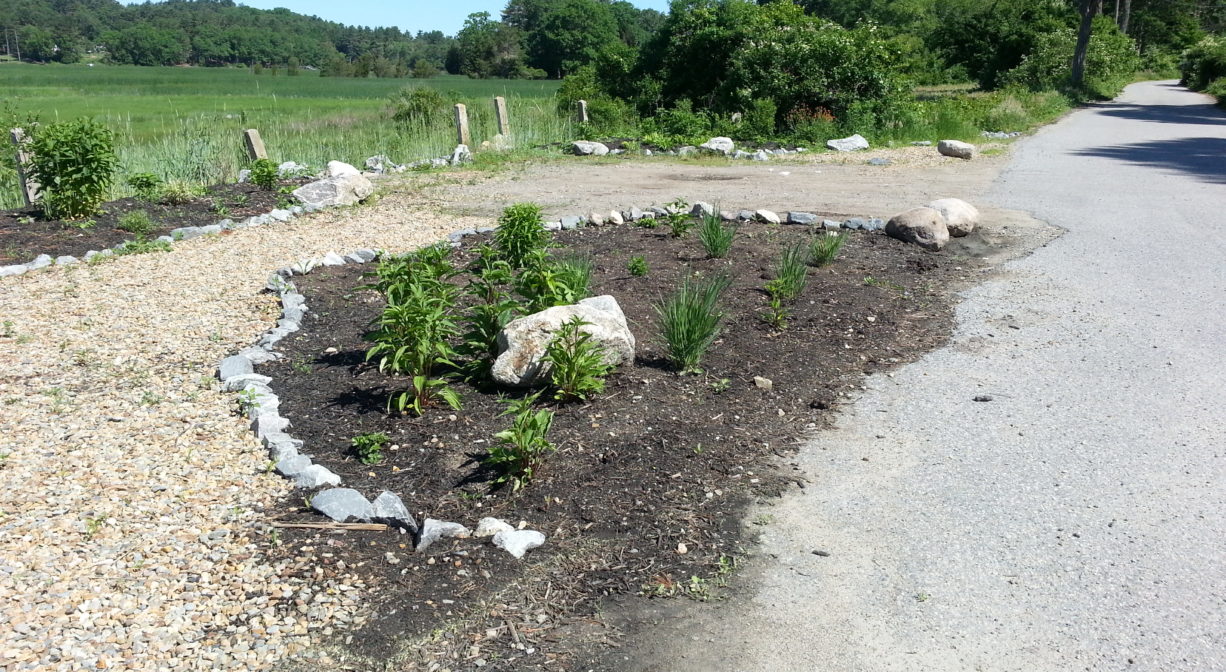 A photograph of ornamental plantings beside a road.