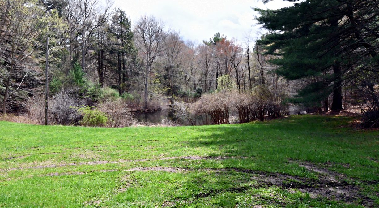 A photograph of a grassy area with a pond in the background.